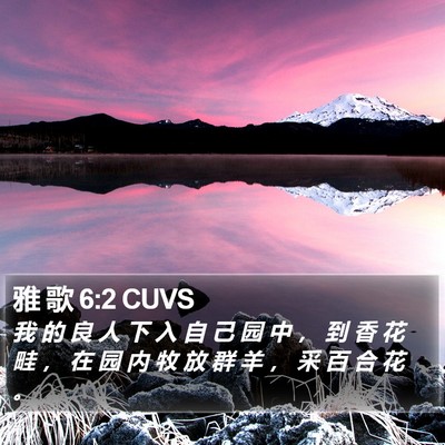 雅 歌 6:2 CUVS Bible Verse Image