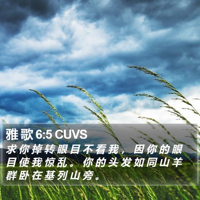 雅 歌 6:5 CUVS Bible Verse Image