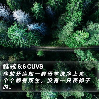 雅 歌 6:6 CUVS Bible Verse Image