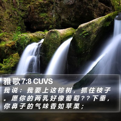 雅 歌 7:8 CUVS Bible Verse Image