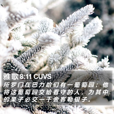 雅 歌 8:11 CUVS Bible Verse Image