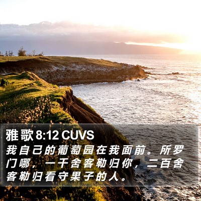 雅 歌 8:12 CUVS Bible Verse Image