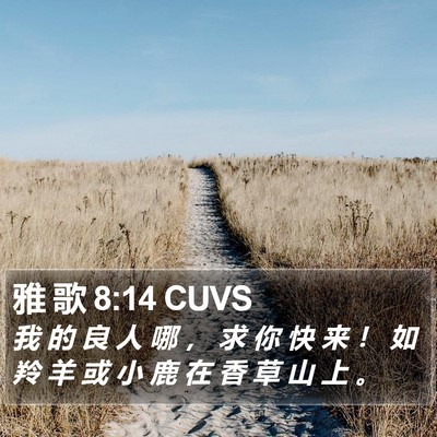 雅 歌 8:14 CUVS Bible Verse Image