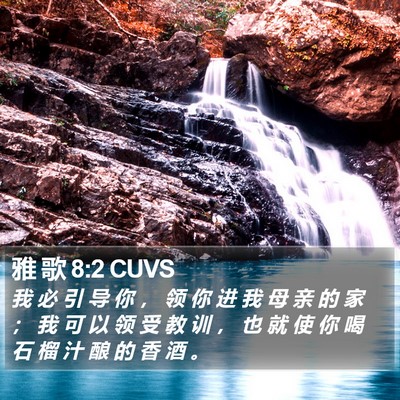雅 歌 8:2 CUVS Bible Verse Image