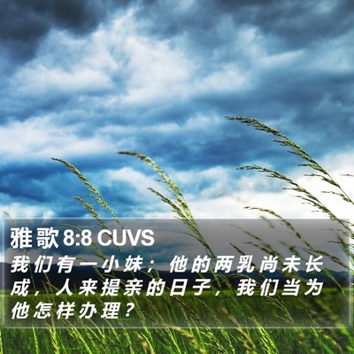 雅 歌 8:8 CUVS Bible Verse Image