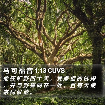 马 可 福 音 1:13 CUVS Bible Verse Image