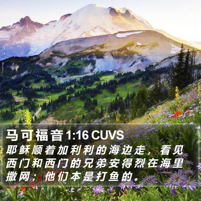 马 可 福 音 1:16 CUVS Bible Verse Image