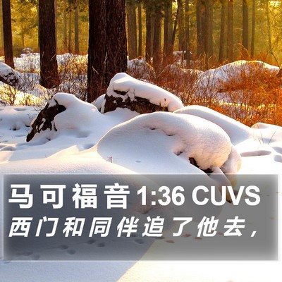 马 可 福 音 1:36 CUVS Bible Verse Image