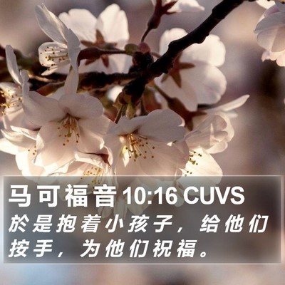 马 可 福 音 10:16 CUVS Bible Verse Image
