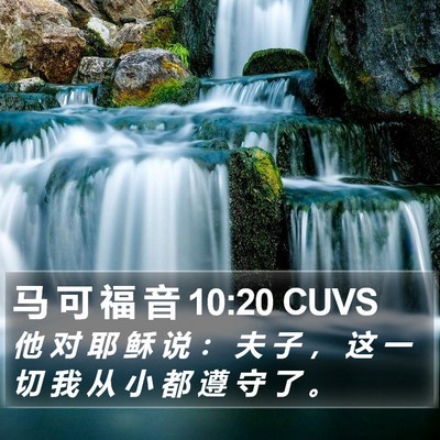 马 可 福 音 10:20 CUVS Bible Verse Image