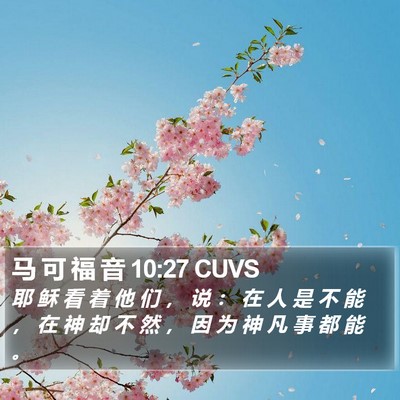 马 可 福 音 10:27 CUVS Bible Verse Image