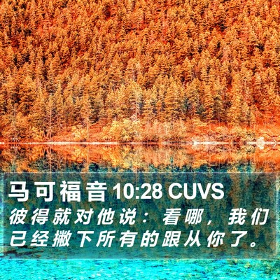 马 可 福 音 10:28 CUVS Bible Verse Image
