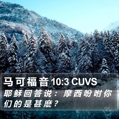 马 可 福 音 10:3 CUVS Bible Verse Image