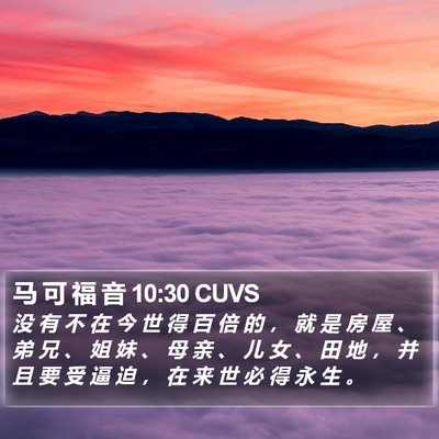 马 可 福 音 10:30 CUVS Bible Verse Image