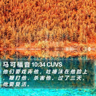 马 可 福 音 10:34 CUVS Bible Verse Image