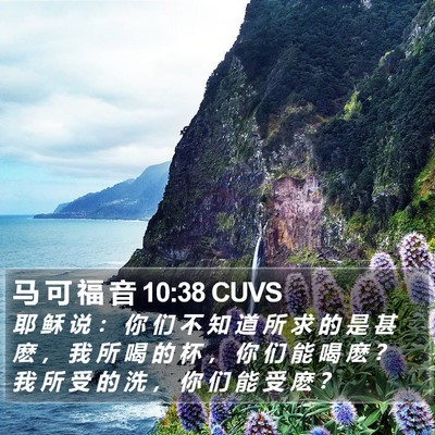 马 可 福 音 10:38 CUVS Bible Verse Image