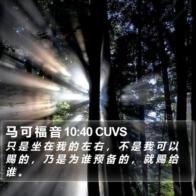马 可 福 音 10:40 CUVS Bible Verse Image