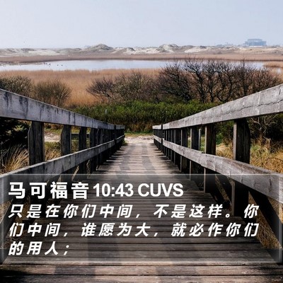 马 可 福 音 10:43 CUVS Bible Verse Image