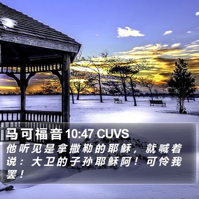 马 可 福 音 10:47 CUVS Bible Verse Image