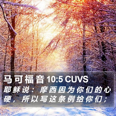 马 可 福 音 10:5 CUVS Bible Verse Image
