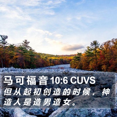 马 可 福 音 10:6 CUVS Bible Verse Image