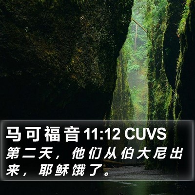 马 可 福 音 11:12 CUVS Bible Verse Image