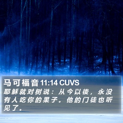 马 可 福 音 11:14 CUVS Bible Verse Image