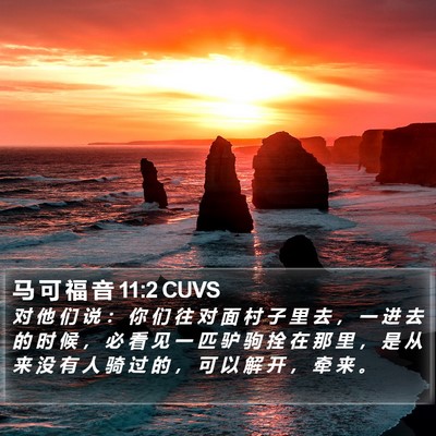 马 可 福 音 11:2 CUVS Bible Verse Image