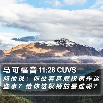 马 可 福 音 11:28 CUVS Bible Verse Image