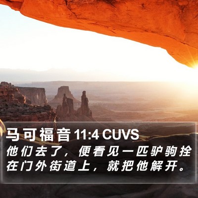 马 可 福 音 11:4 CUVS Bible Verse Image