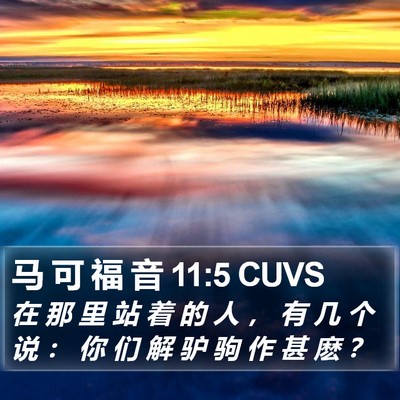 马 可 福 音 11:5 CUVS Bible Verse Image