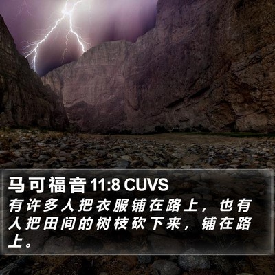马 可 福 音 11:8 CUVS Bible Verse Image
