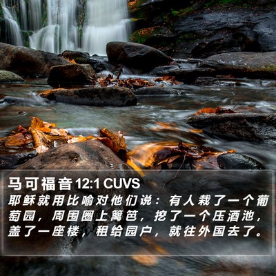 马 可 福 音 12:1 CUVS Bible Verse Image