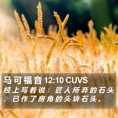 马 可 福 音 12:10 CUVS Bible Verse Image