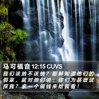 马 可 福 音 12:15 CUVS Bible Verse Image