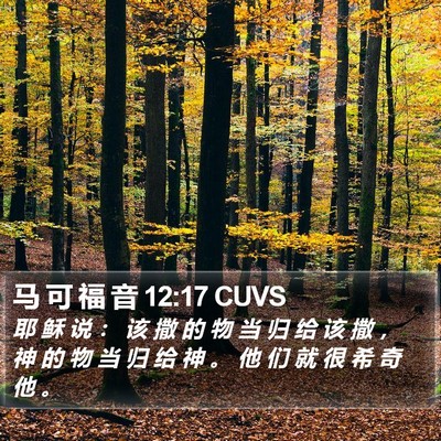 马 可 福 音 12:17 CUVS Bible Verse Image