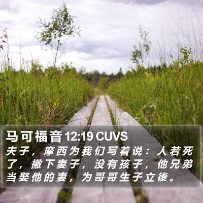 马 可 福 音 12:19 CUVS Bible Verse Image