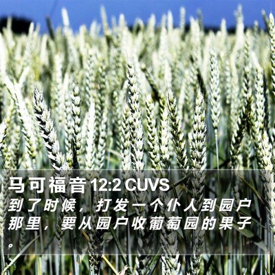 马 可 福 音 12:2 CUVS Bible Verse Image