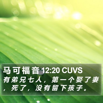马 可 福 音 12:20 CUVS Bible Verse Image