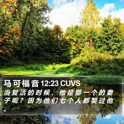 马 可 福 音 12:23 CUVS Bible Verse Image