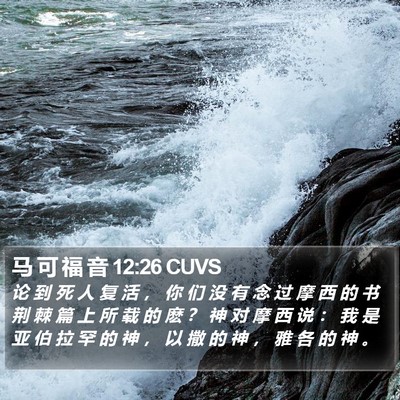 马 可 福 音 12:26 CUVS Bible Verse Image