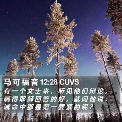 马 可 福 音 12:28 CUVS Bible Verse Image