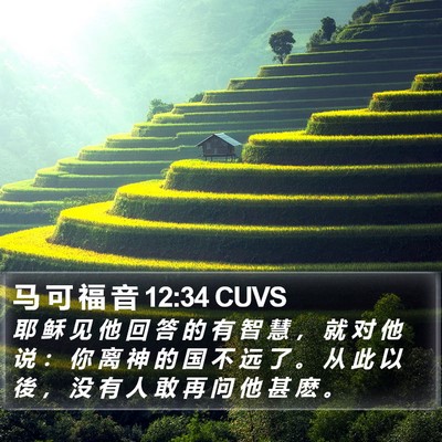马 可 福 音 12:34 CUVS Bible Verse Image