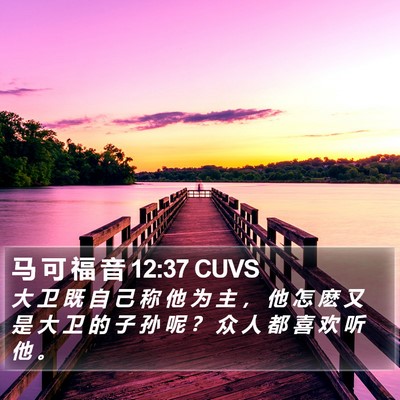 马 可 福 音 12:37 CUVS Bible Verse Image