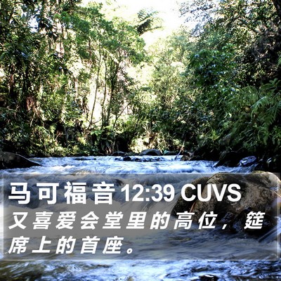 马 可 福 音 12:39 CUVS Bible Verse Image