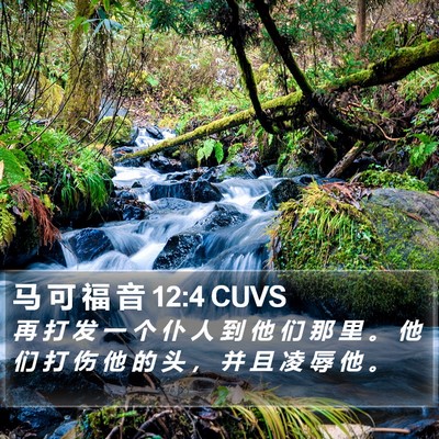 马 可 福 音 12:4 CUVS Bible Verse Image