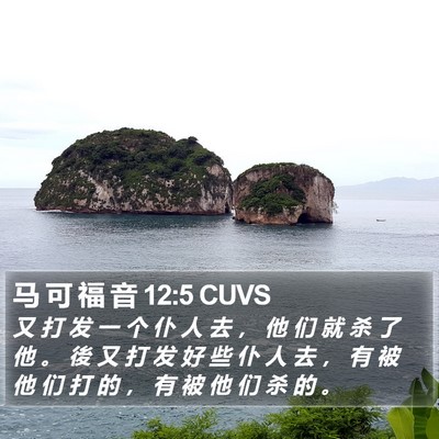 马 可 福 音 12:5 CUVS Bible Verse Image