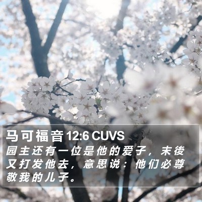 马 可 福 音 12:6 CUVS Bible Verse Image
