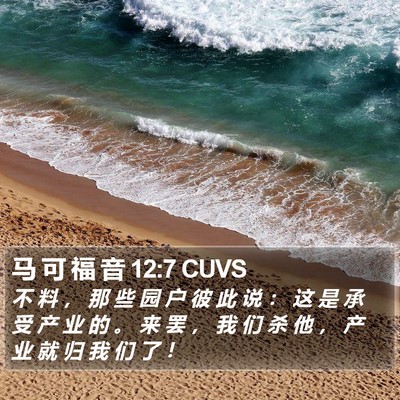 马 可 福 音 12:7 CUVS Bible Verse Image