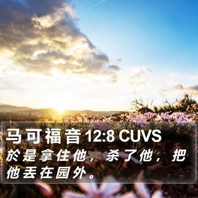 马 可 福 音 12:8 CUVS Bible Verse Image